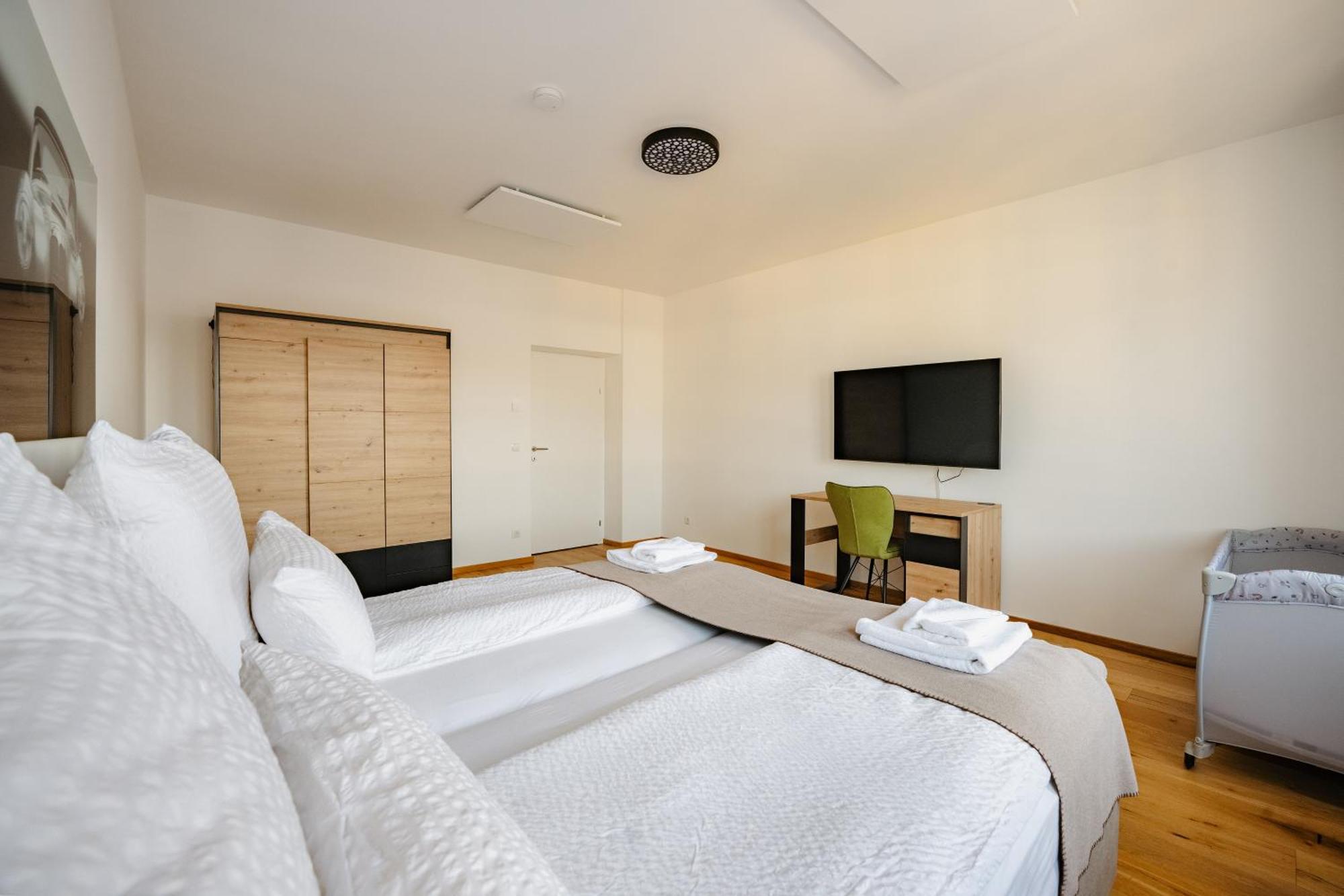 Tamliving Center Luxury 4 Rooms Smart Tv Kitchen Great View 格拉茨 外观 照片